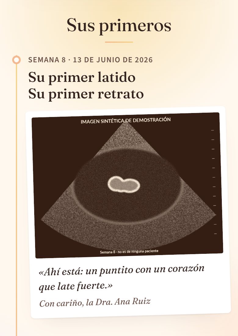 «Sus primeros»: los ultrasonidos de las semanas 8 y 12 con los mensajes de la doctora, firmados «Con cariño, la Dra. Ana Ruiz». Imágenes sintéticas.